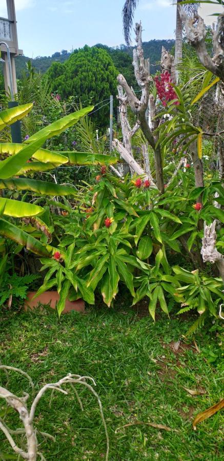 Orchid Sunset Guest House Baie Lazare  Экстерьер фото