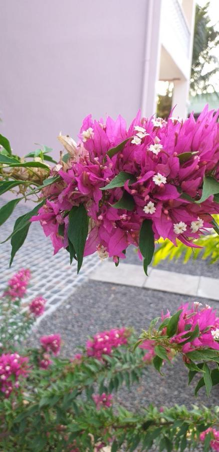 Orchid Sunset Guest House Baie Lazare  Экстерьер фото