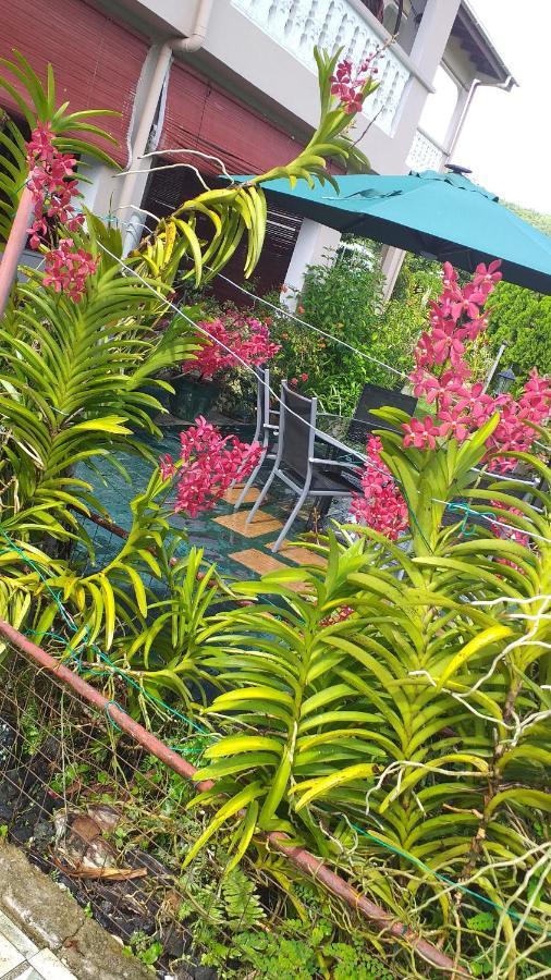 Orchid Sunset Guest House Baie Lazare  Экстерьер фото