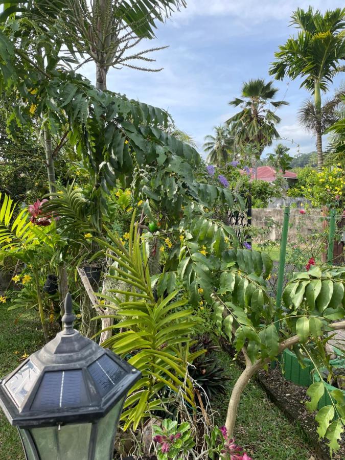 Orchid Sunset Guest House Baie Lazare  Экстерьер фото